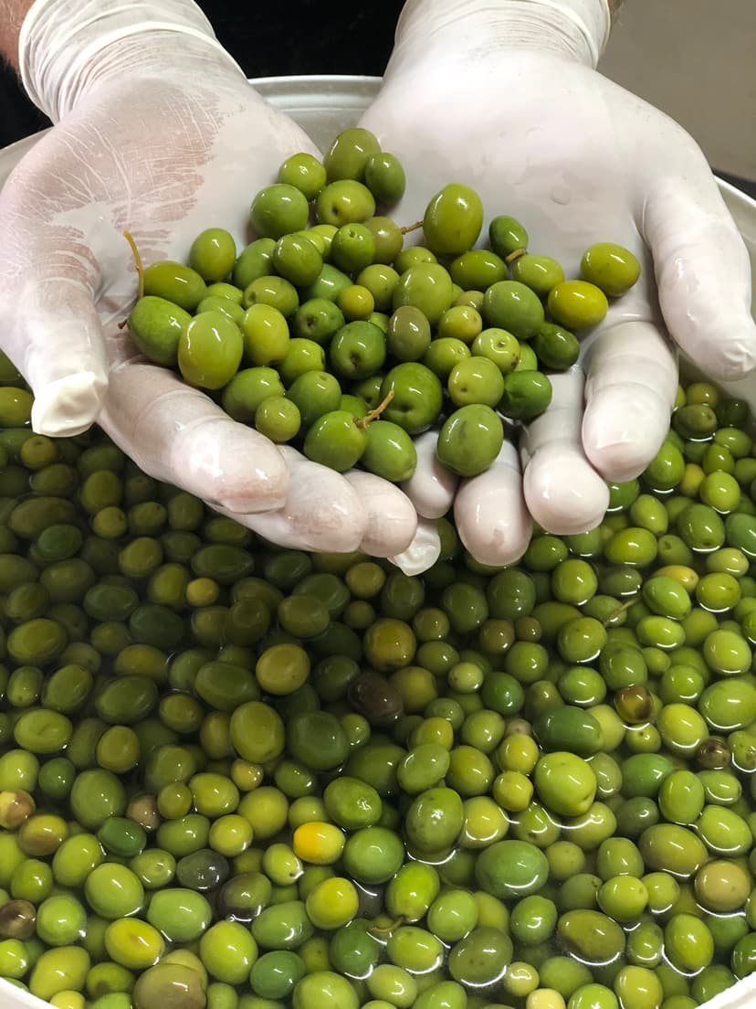 Halhalı Yeşil Zeytin 1 KG resmi