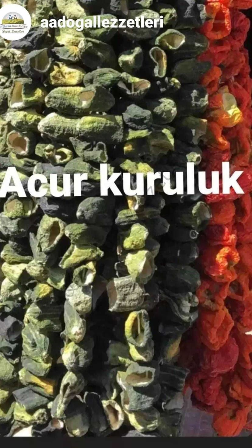 ACUR KURULUK 1 İP resmi