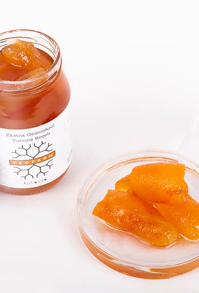 TURUNÇ REÇELİ 450 GR resmi