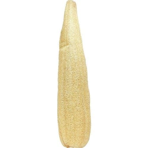 Kabak Lifi ~55 Cm