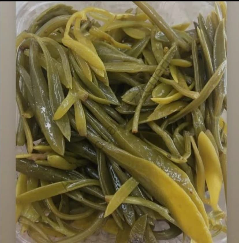KAYA KORUĞU 650 GR resmi